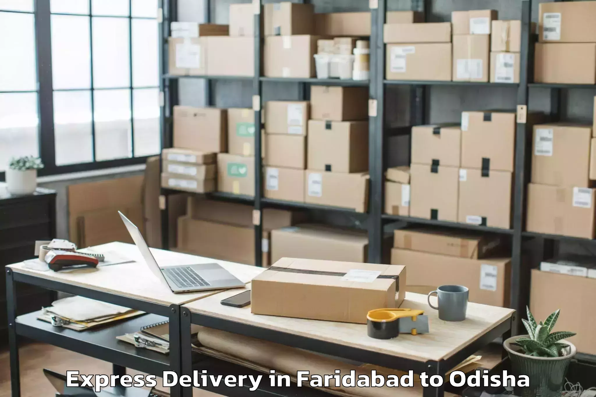 Professional Faridabad to Pallahara Express Delivery